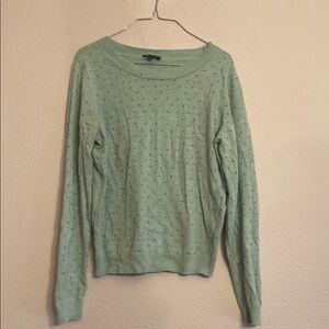 The Limited Mint Green Crew Neck Sweater